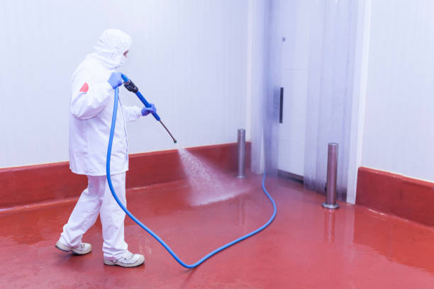 Best Graffiti Removal Services in Ogden, NC