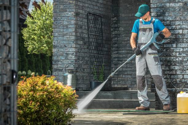 Best Gutter Cleaning and Brightening in Ogden, NC