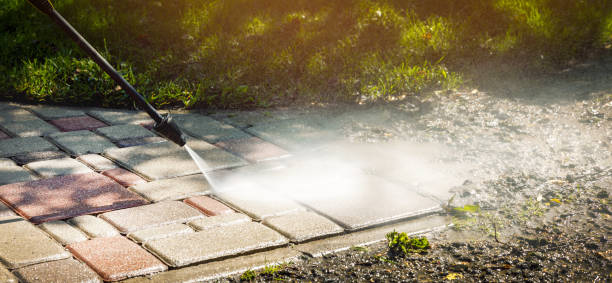 Trusted Ogden, NC Pressure Washing Services Experts
